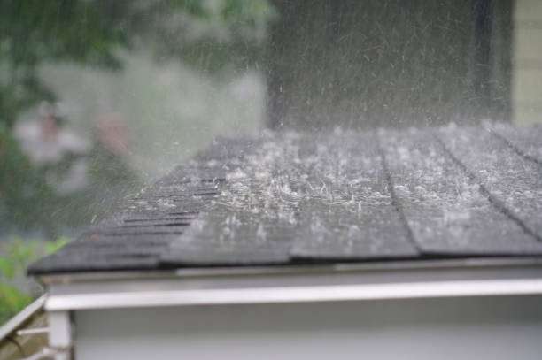 Best Cold Roofs  in East Tawas, MI