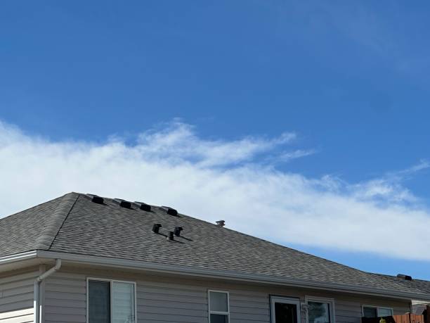 Best Storm Damage Roof Repair  in East Tawas, MI